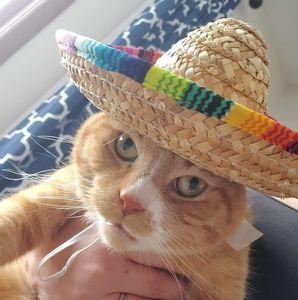 Meet your Posher, Michaela